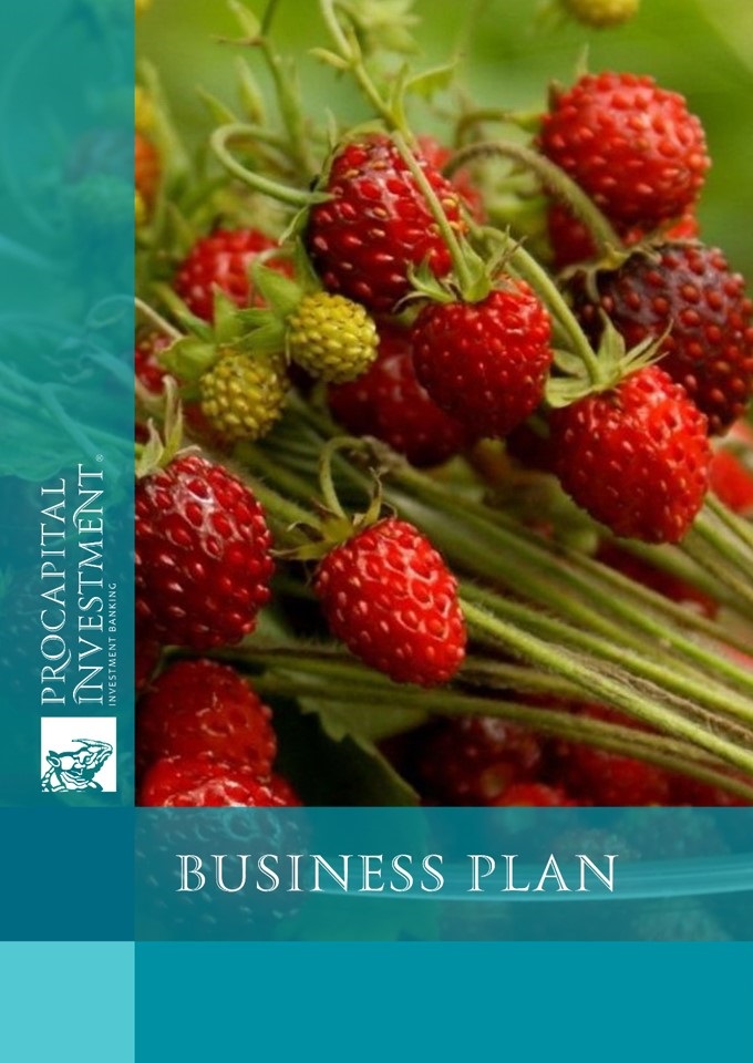 Business plan for the project to create a greenhouse complex for strawberry growing